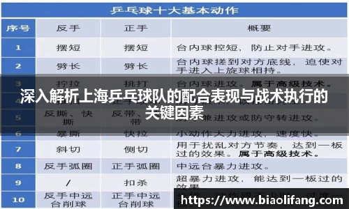 深入解析上海乒乓球队的配合表现与战术执行的关键因素